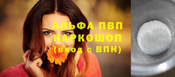 ГАЛЛЮЦИНОГЕННЫЕ ГРИБЫ Аркадак