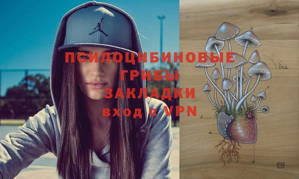 бошки Надым