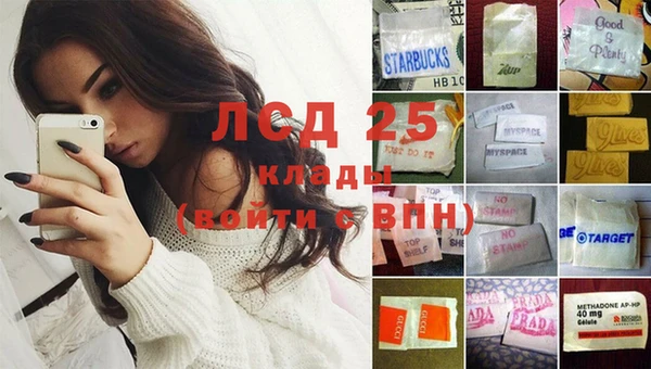 spice Арсеньев