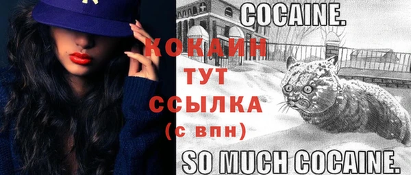 spice Арсеньев