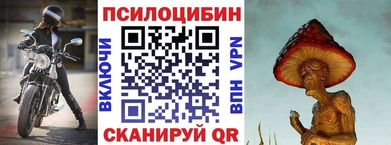 Галлюциногенные грибы Cubensis Туринск